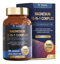 MAGNEISUM 12-1